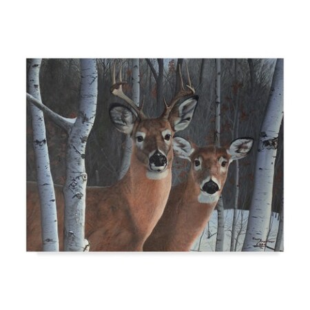 Trademark Fine Art Rusty Frentner 'Deer Magic' Canvas Art, 14x19 ALI33122-C1419GG